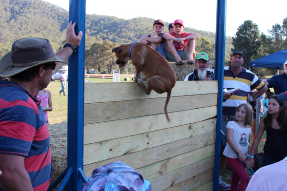 Mighty Mitta Muster
